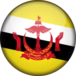 brunei-flag-3d-round-icon-256