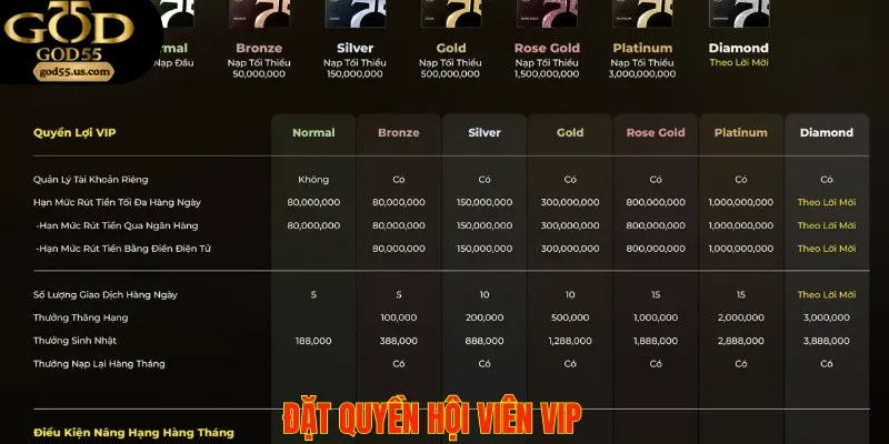 Hội viên VIP nhận được vô số ưu đãi